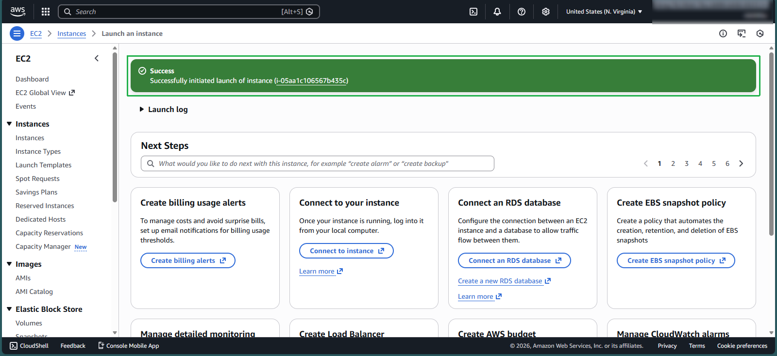 View launched instances