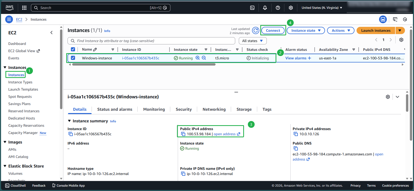 Instance running with status checks passed