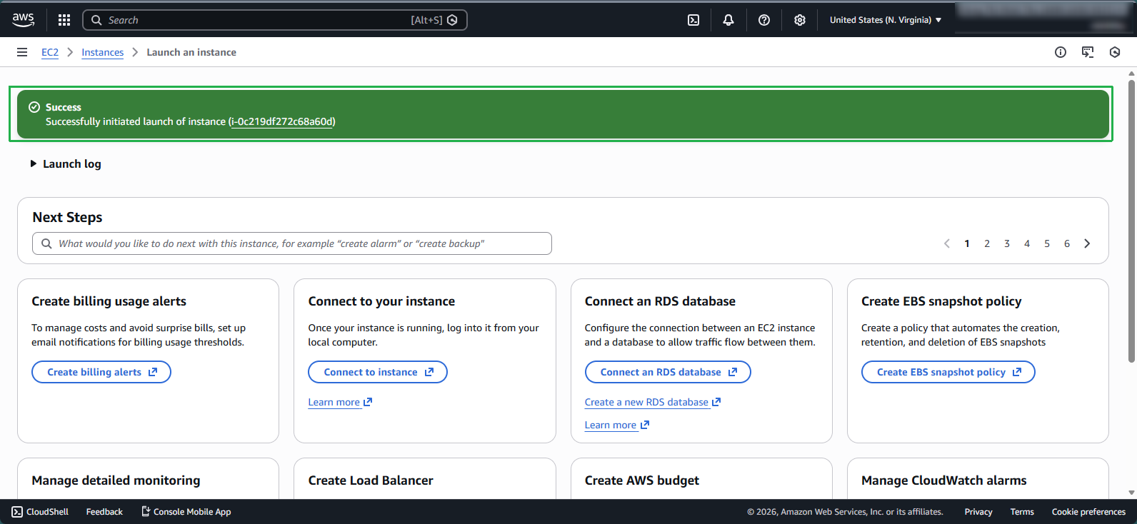 View launched instances