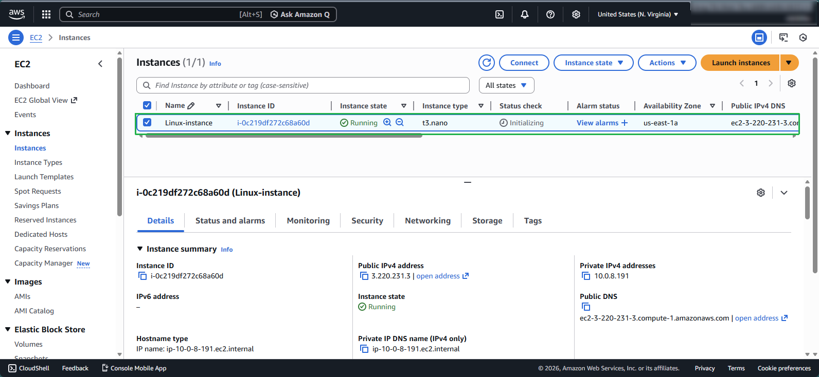 Instance initializing