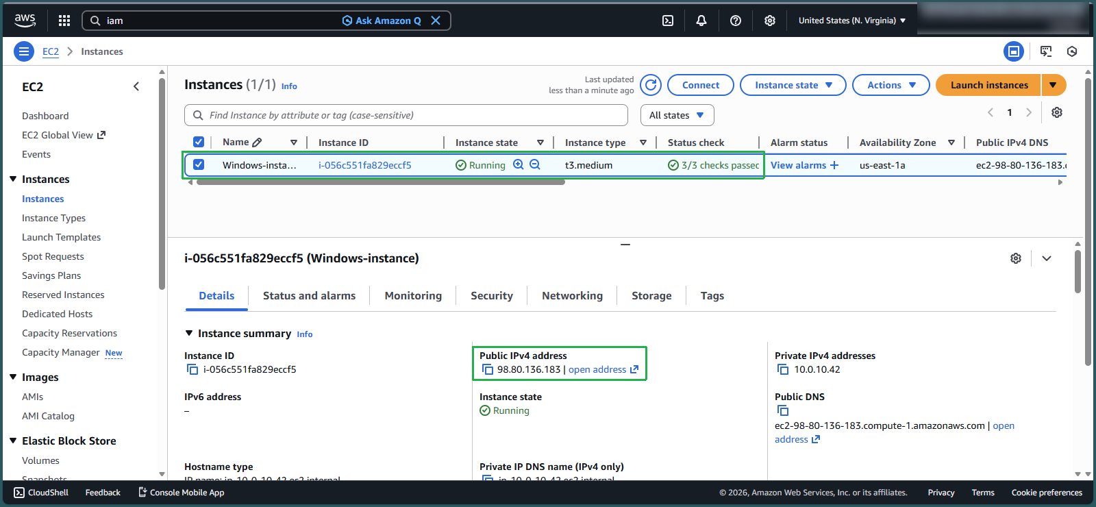 Starting the instance