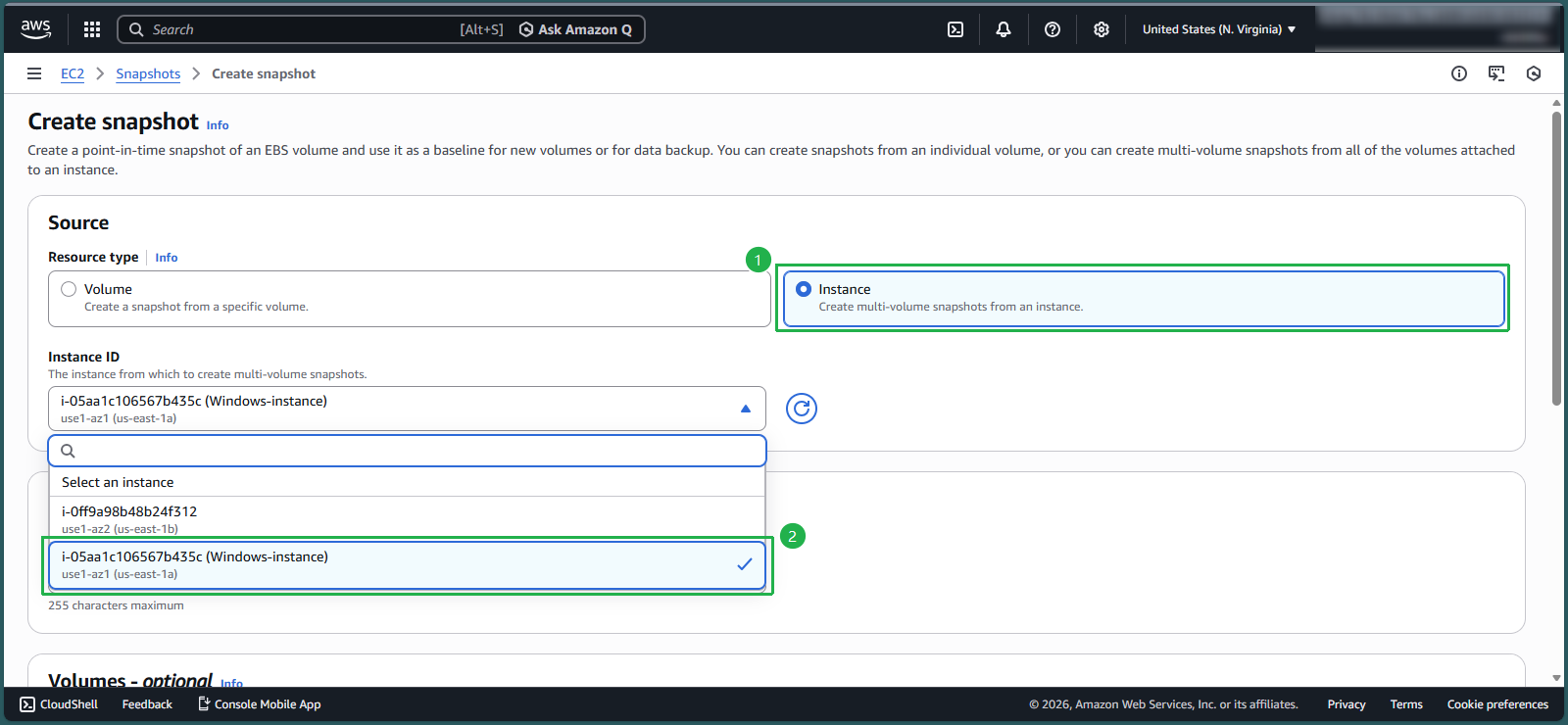 Selecting instance for snapshot