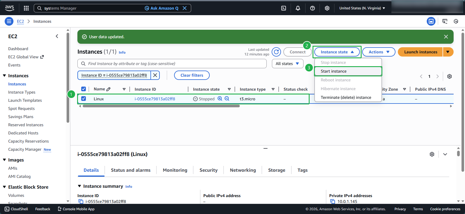 Starting the EC2 instance