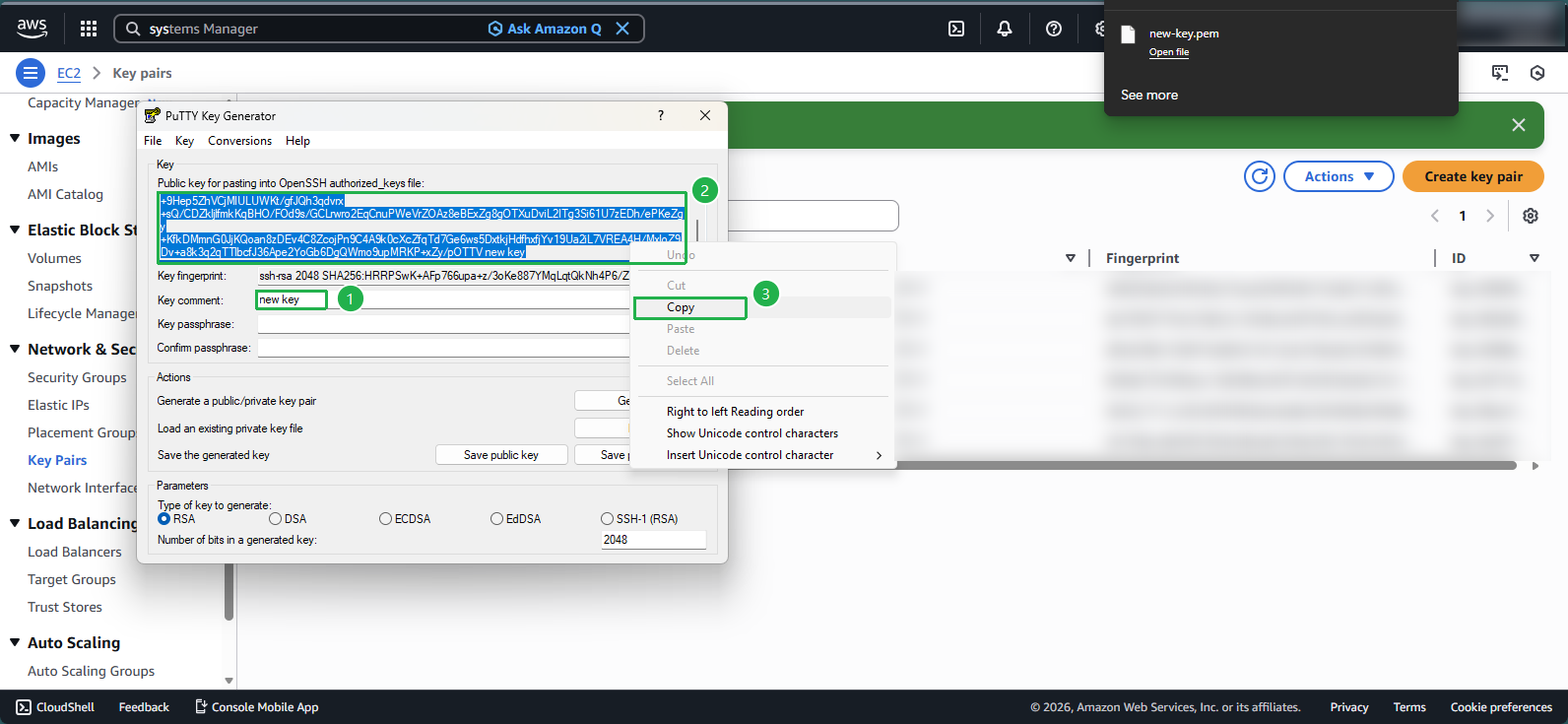 Extracting public key