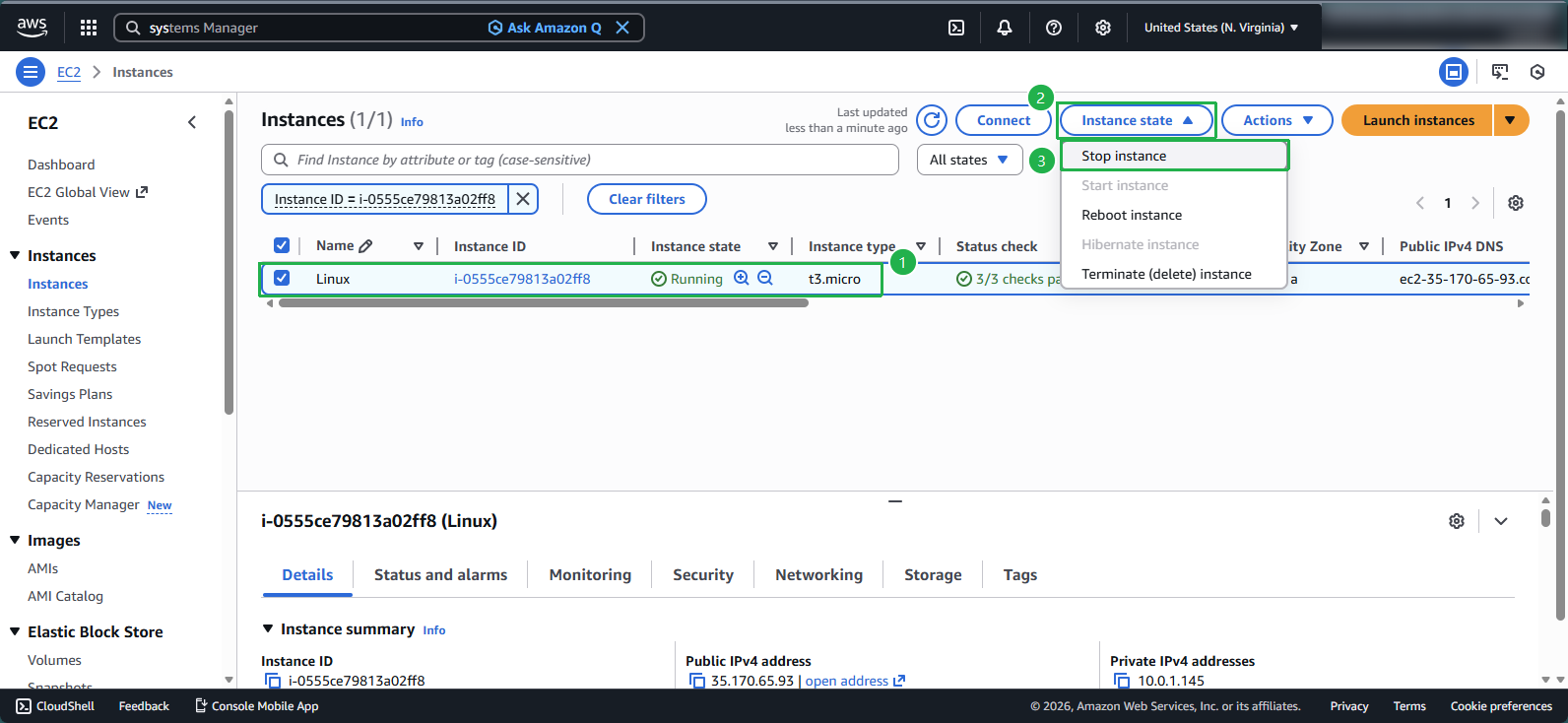 Stopping the EC2 instance