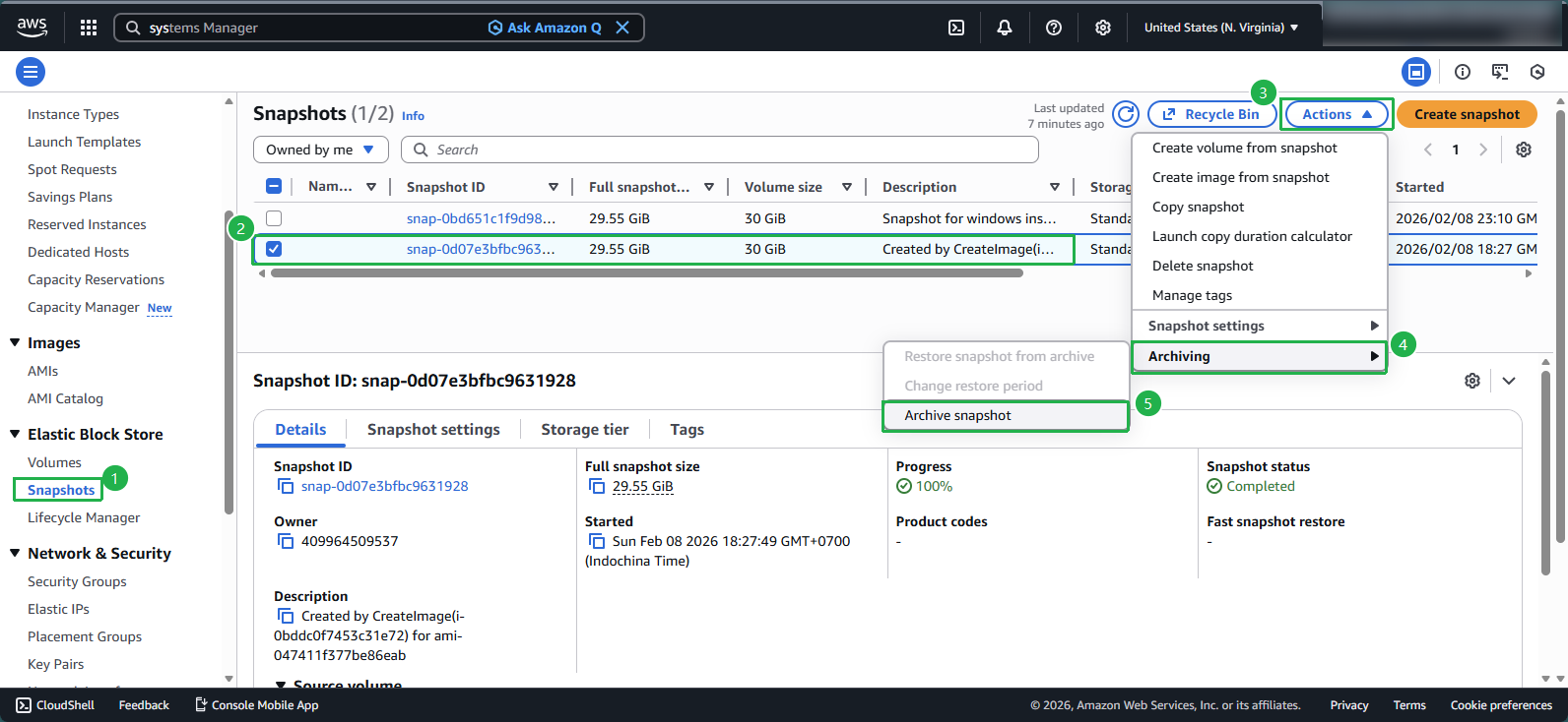 Selecting the Archive Snapshot option