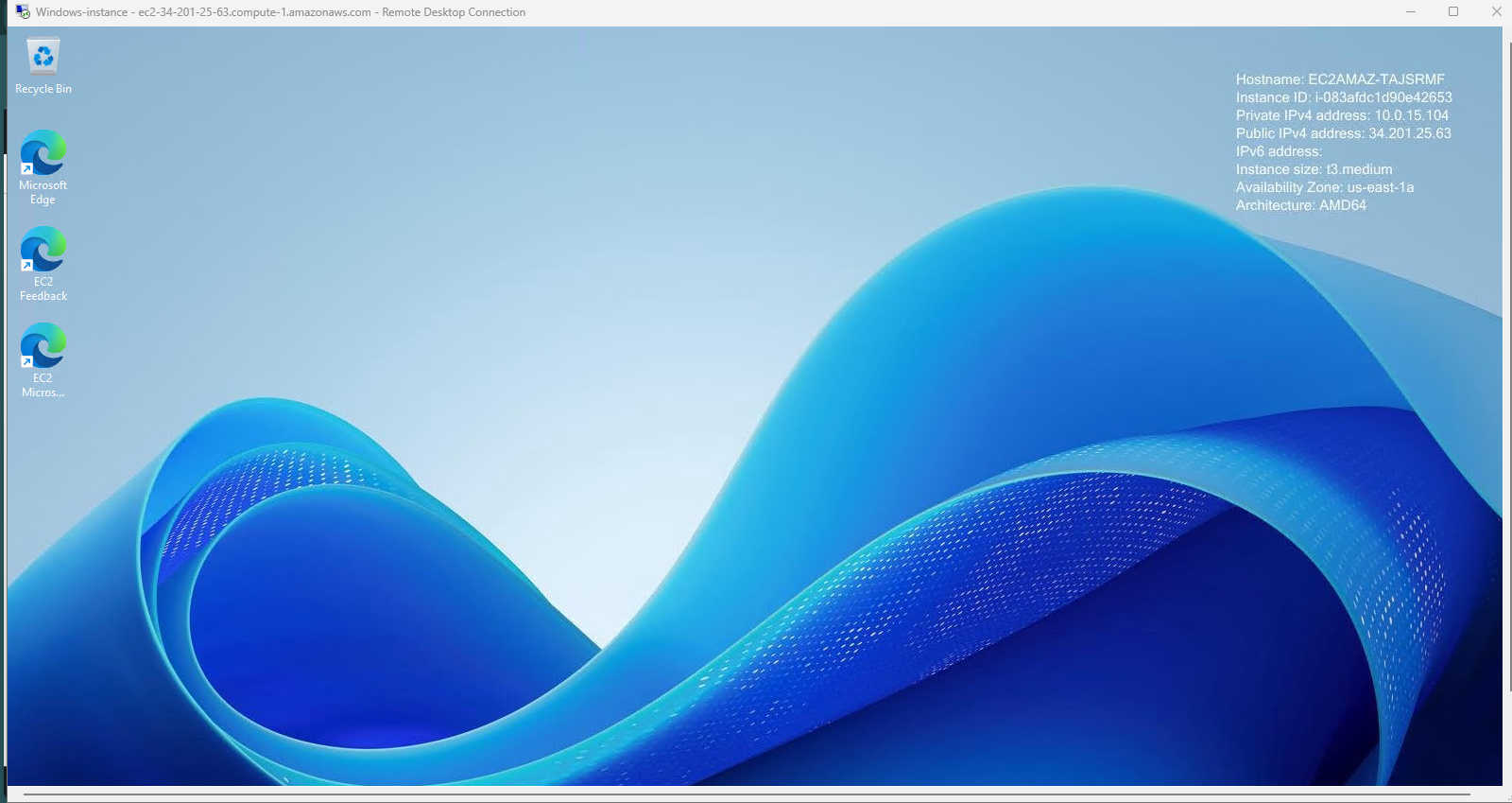 Remote Desktop Connection Interface