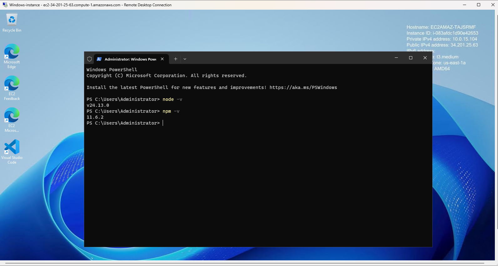 Node.js and npm version verification