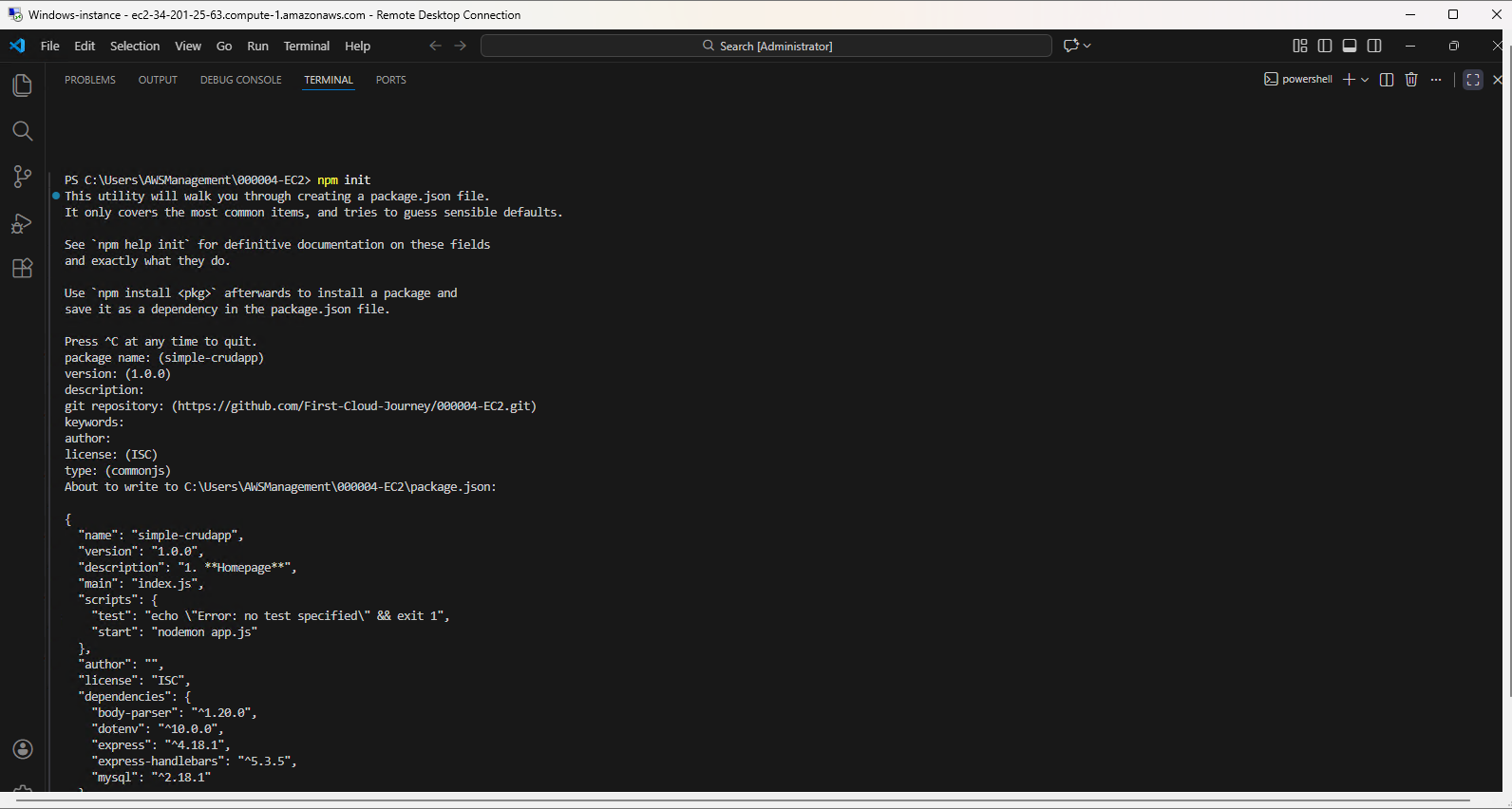 NPM initialization process