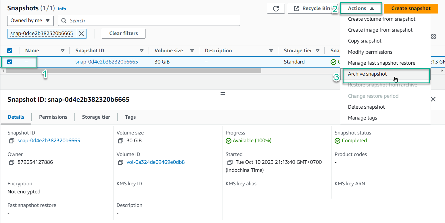 Selecting the Archive Snapshot option
