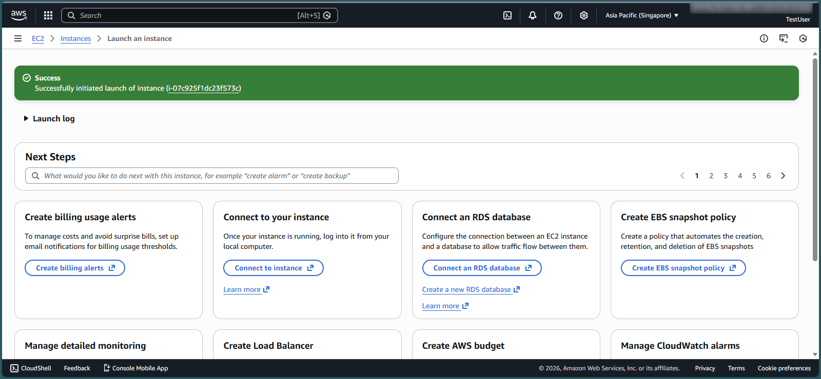 Viewing the new instance