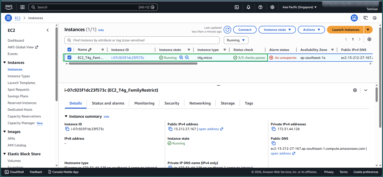 Successfully created T4g instance
